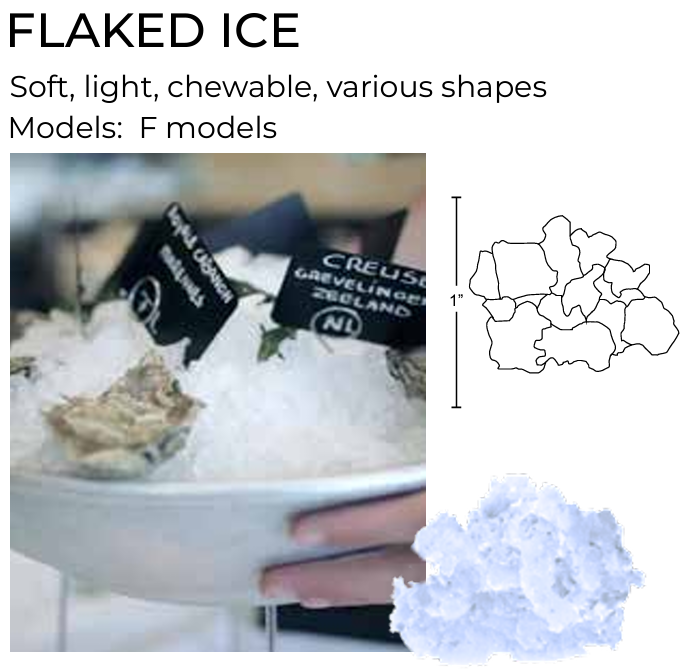 Hoshizaki F-2001M_J Flake Ice Maker