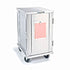 Lakeside 5527 Enclosed Transport and Delivery Cabinet