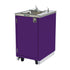 Lakeside 9620A Mobile Allergen Awareness Hand Washing Station